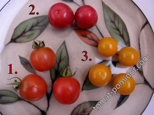 Psamathe (Псамате), Tommy - Toe (Томми - Тое),Yellow Cherry, potato leaf