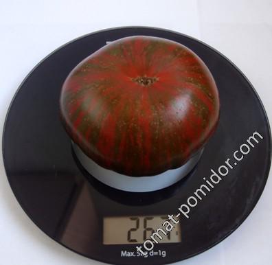 Kozula 24 (Козуля 24) - k — сорта томатов - tomat-pomidor.com - отзывы нафоруме