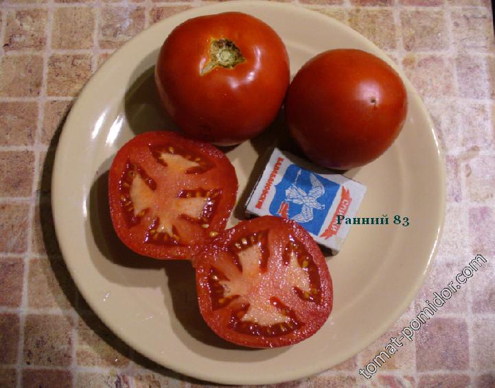Ранний 83 томат описание фото. Томат ранний 83. Сорт помидоров ранний 83.