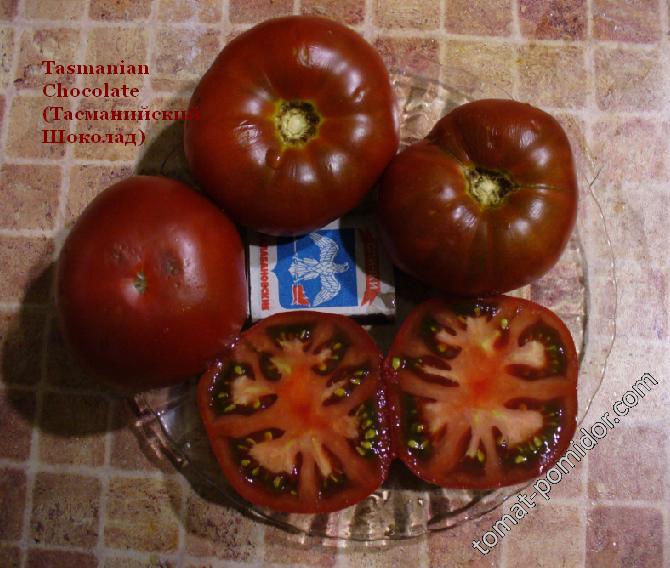 Tasmanian Chocolate, серия Dwarf Tomato Project