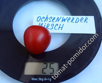 Ochsenwerder Kirsch (Охсенвердерская вишня)