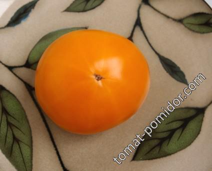 Orangino (Оранжино)