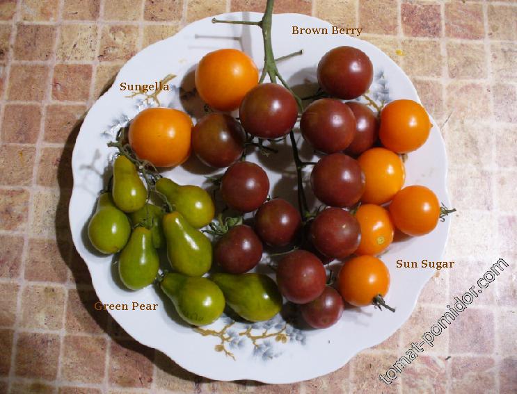 Sungella, Sun Sugar, Green Pear и Brown Berry