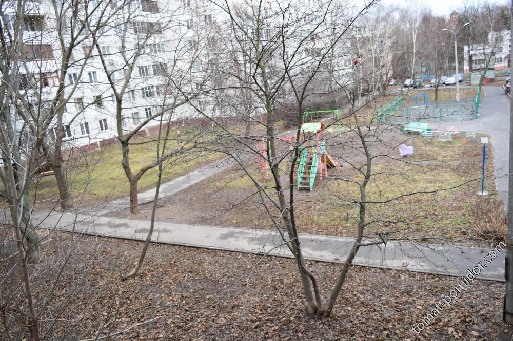 "Зимний" пейзаж 23 декабря 2015г.