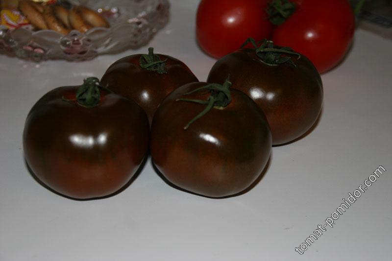 Черный помидор 2