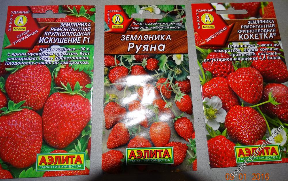 земляника