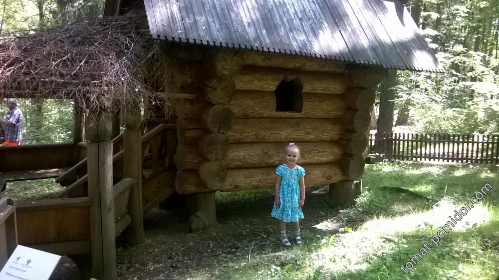 дом Бабы-Яги Абрамцево