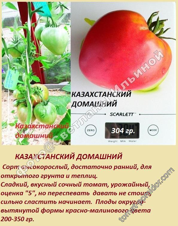 Казахстанский домашний