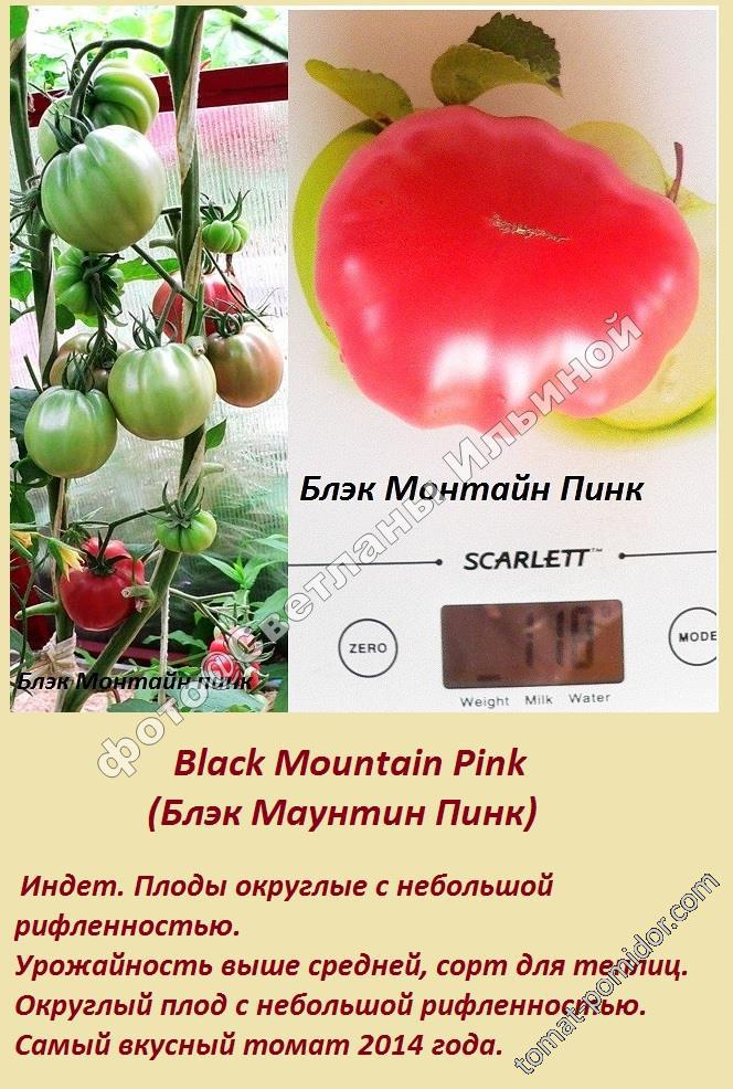 Black Mountain Pink