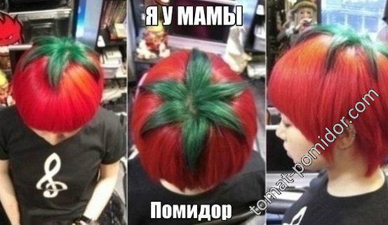 Я у мамы помидор