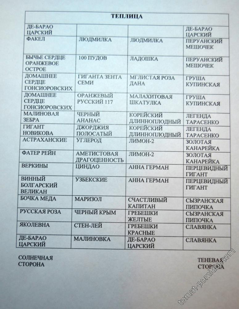 План посадок (теплица) изменения