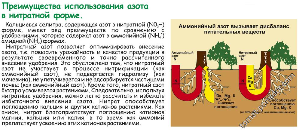 кальциевая  селитра