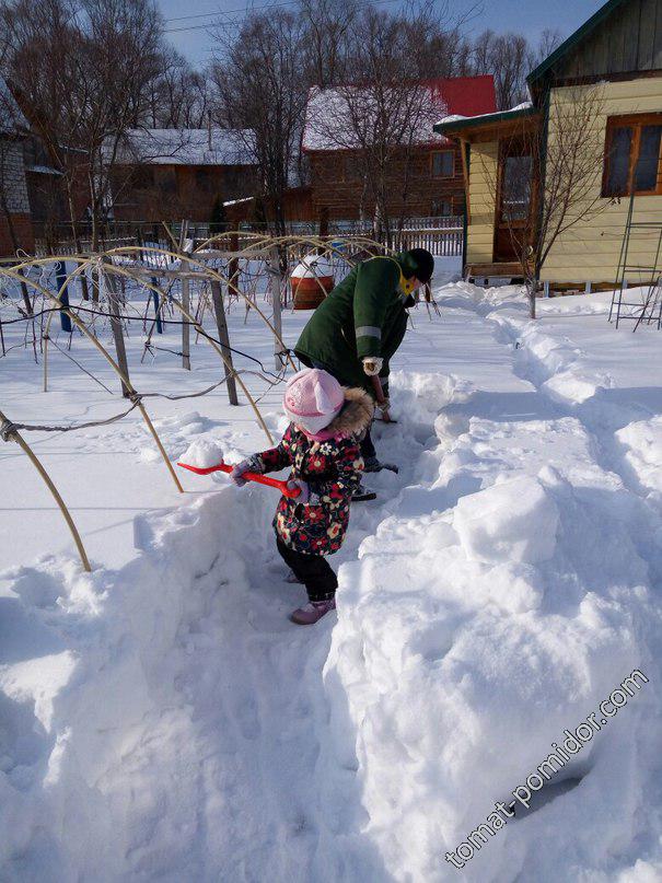 Вылазка 22.02.16