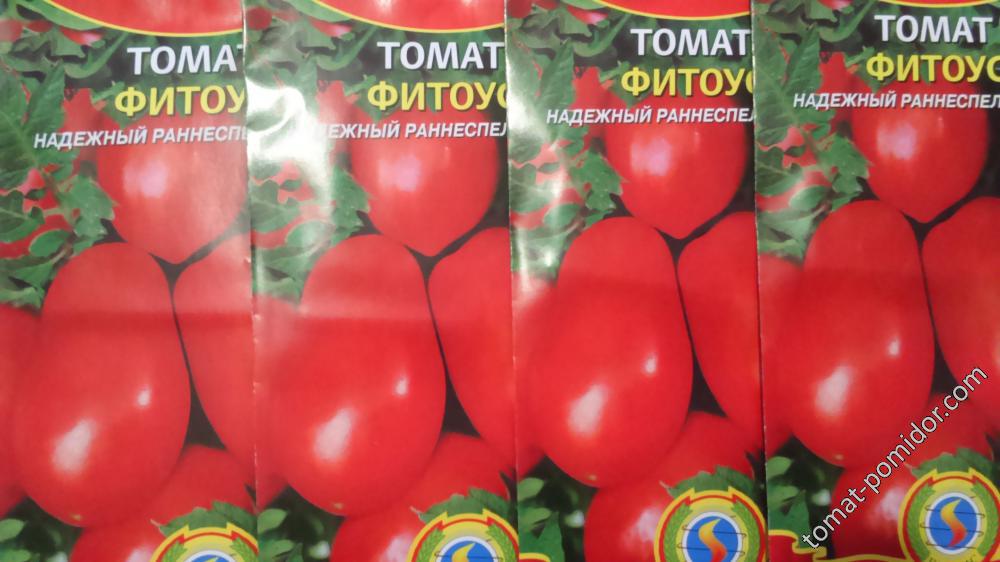 Фитофтороустойчивый томат