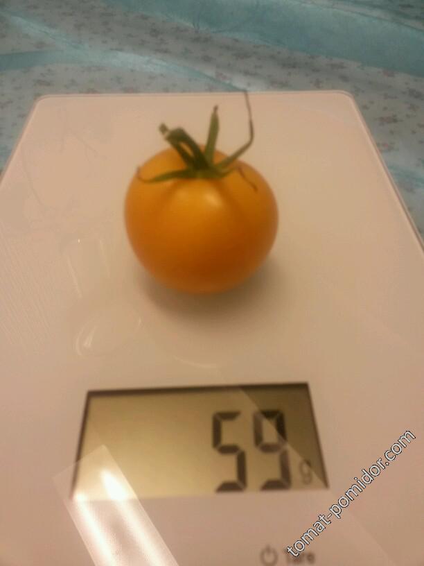 Gelbe Tomaten / Желтые помидоры