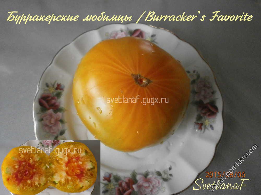 Бурракерские любимцы