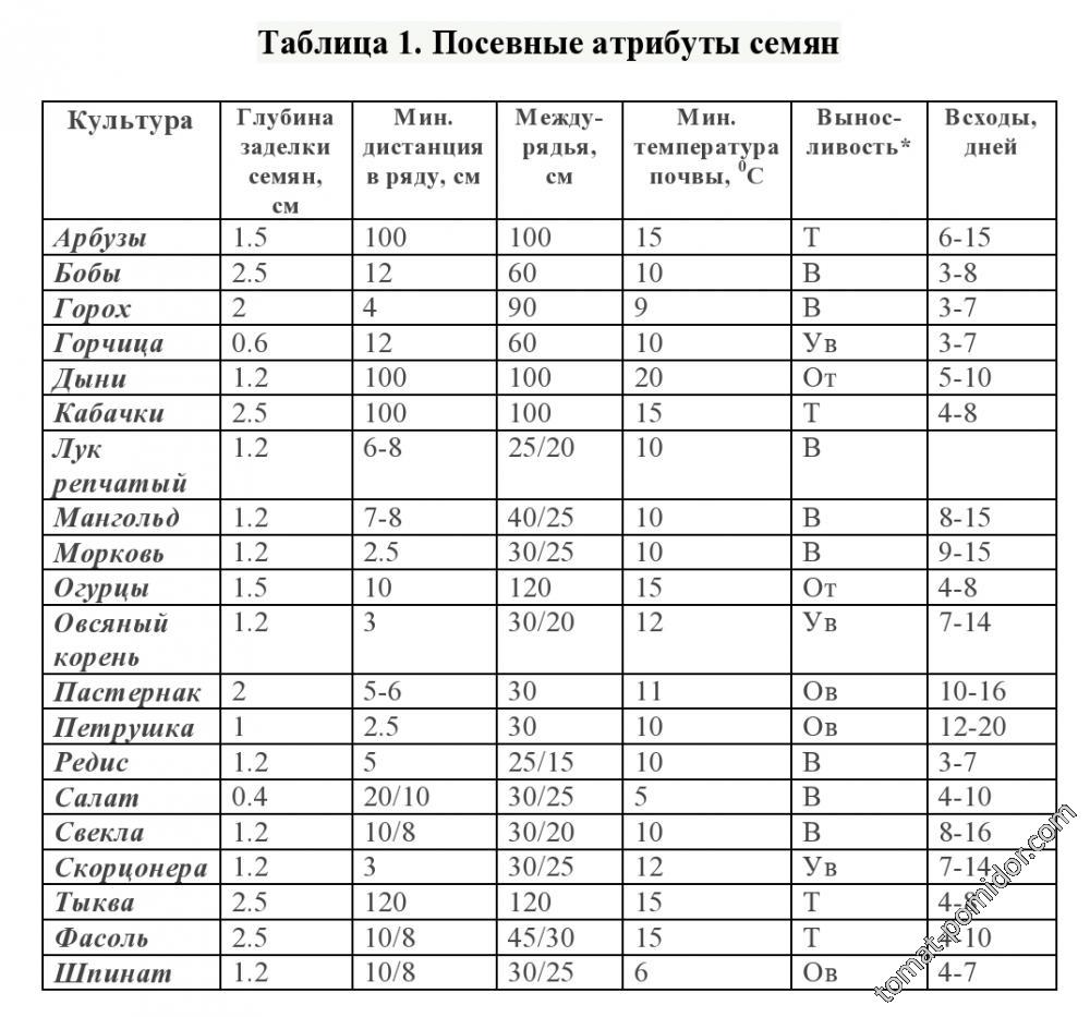 Глубина посева семян томатов