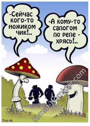 В яблочко!