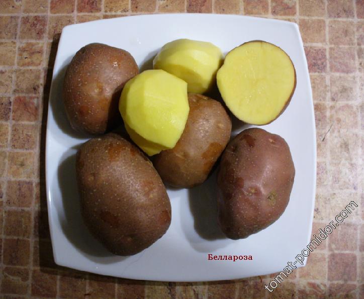 Беллароза