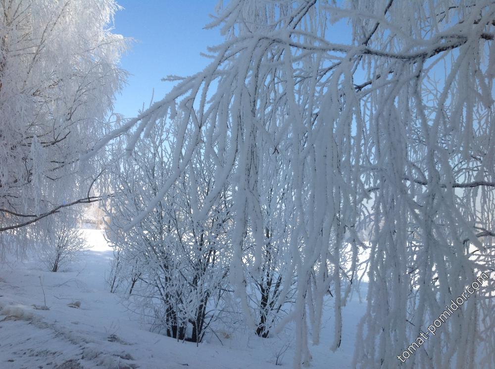 Весна в деревне