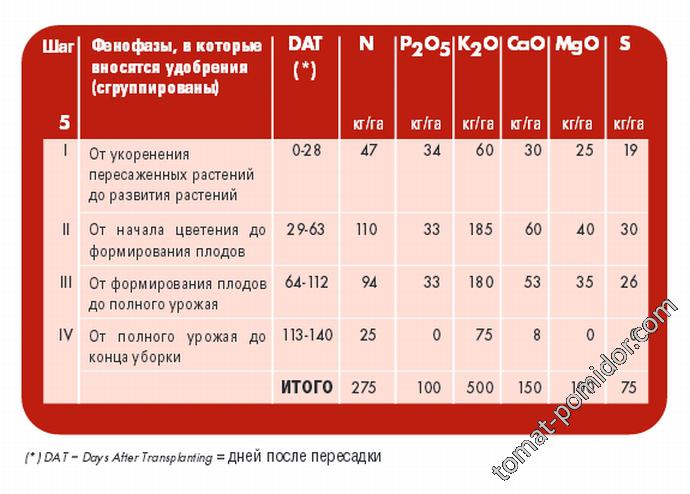 Потребности томатов в питании