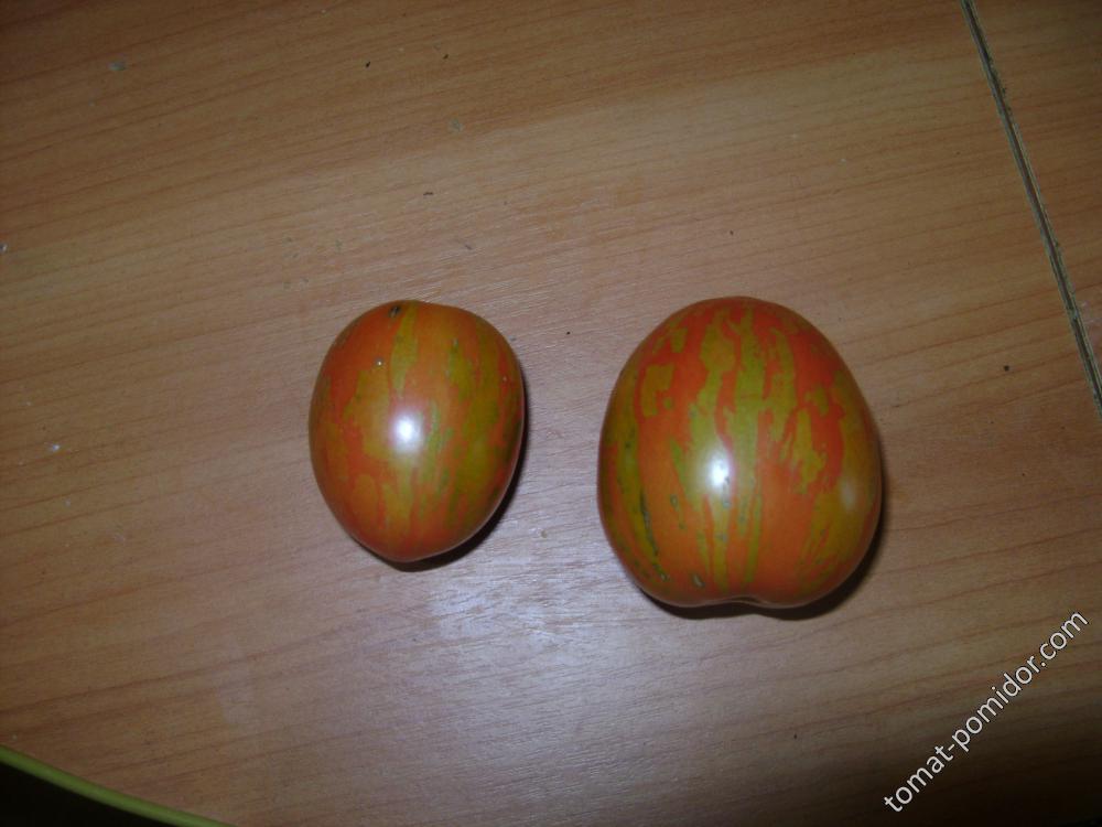 Пасхальное яйцо 2015