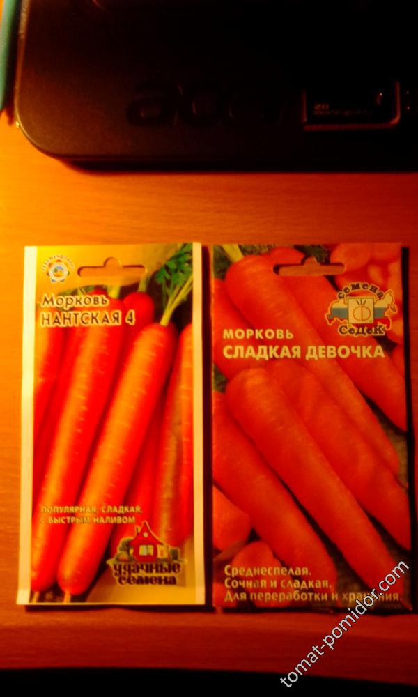 Прикупила вчера морковку