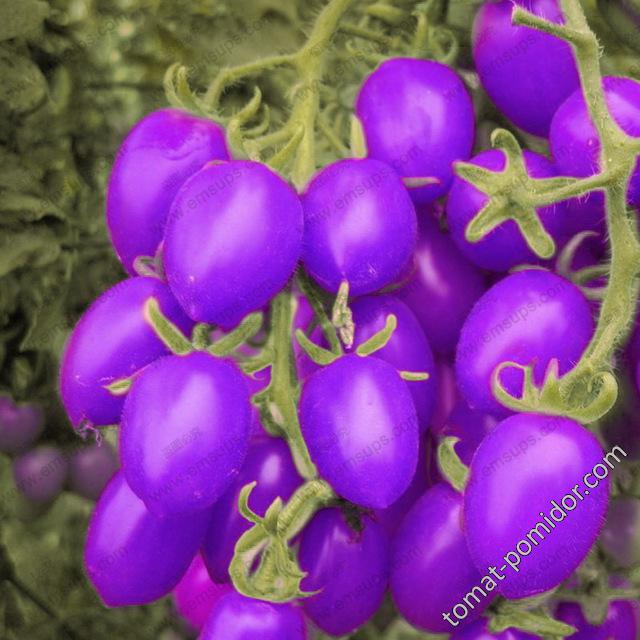 китайцы зажигают