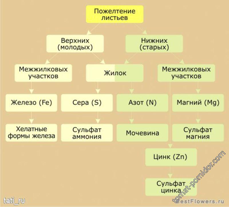 подсказка 2