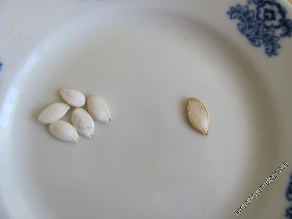 китайская тыква,слева семена из пачки,справа-из тыквы