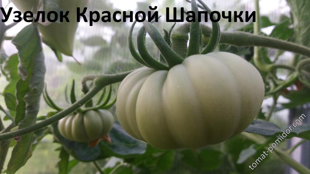 Узелок Красной Шапочки