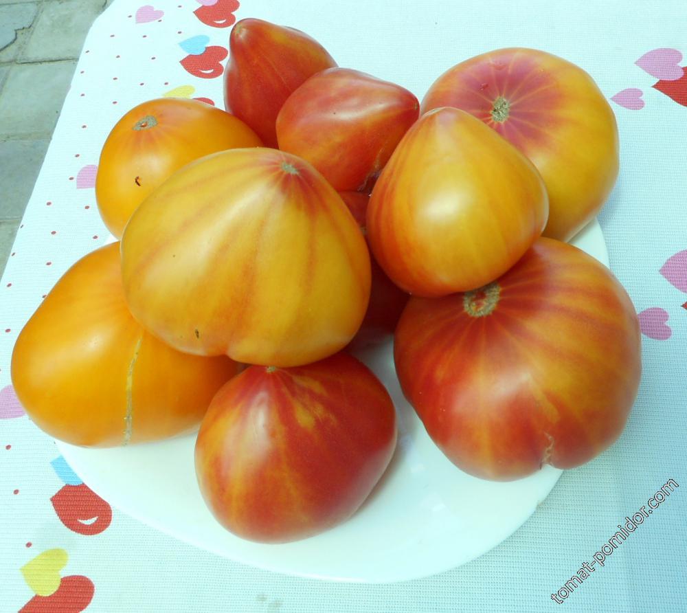 разные цветные томаты
