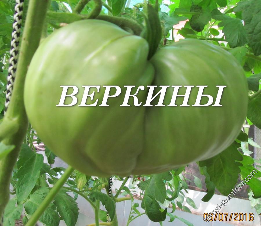 Томат "Веркины"