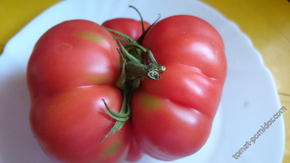 Венгерский в форме сердца (Hungarian Heart Shaped)