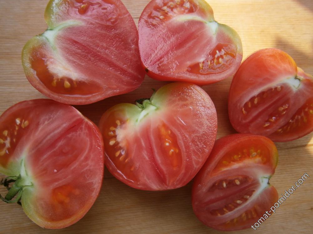 Гном томатный Pink Passion