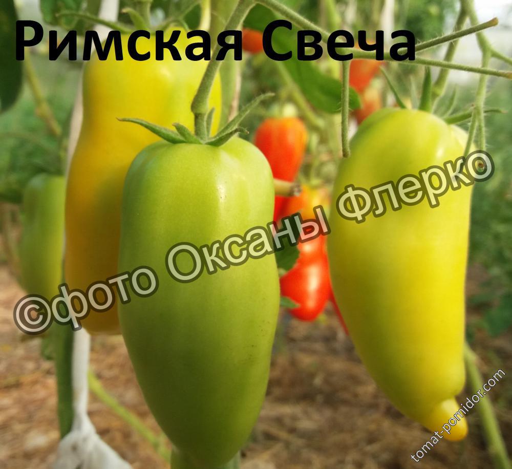 Римская Свеча