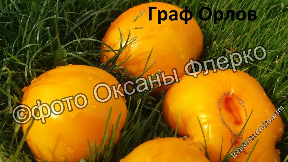 Граф Орлов