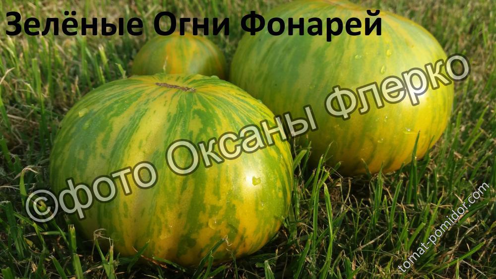 Зелёные Огни Фонарей