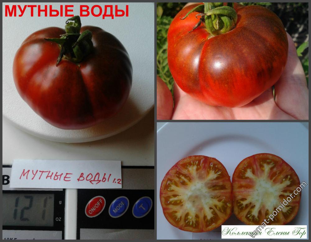 Мутные воды?