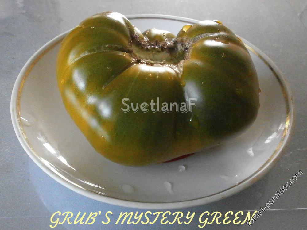 GRUB'S MYSTERY GREEN 24-07-16