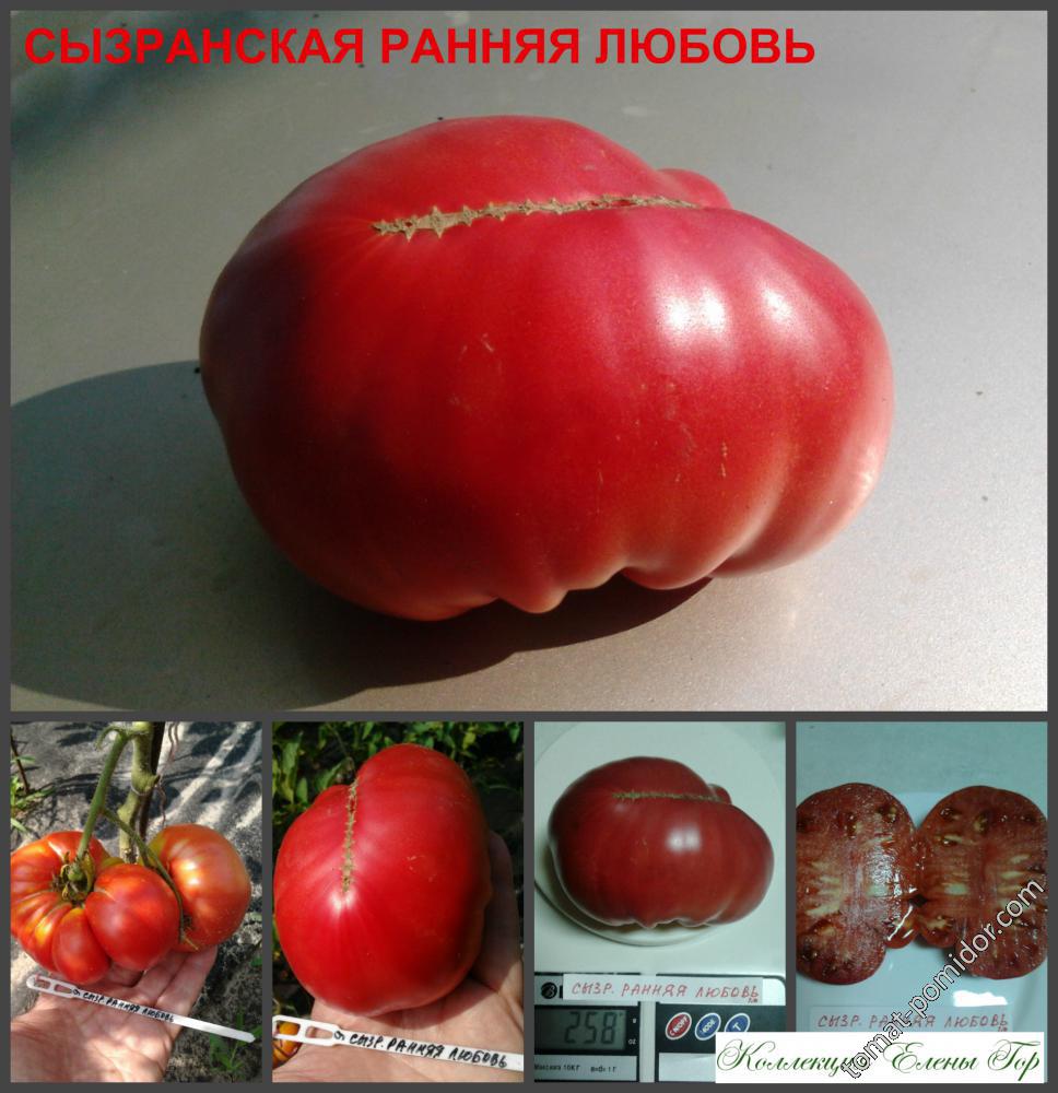 Сызранская ранняя любовь