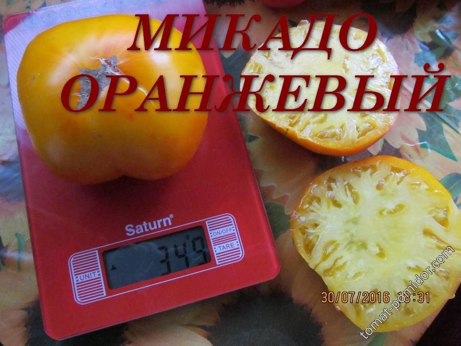 Микадо оранжевый