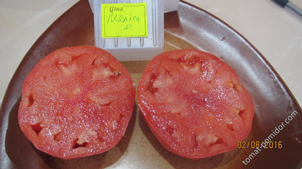Мелиса Кавказская овчарка
