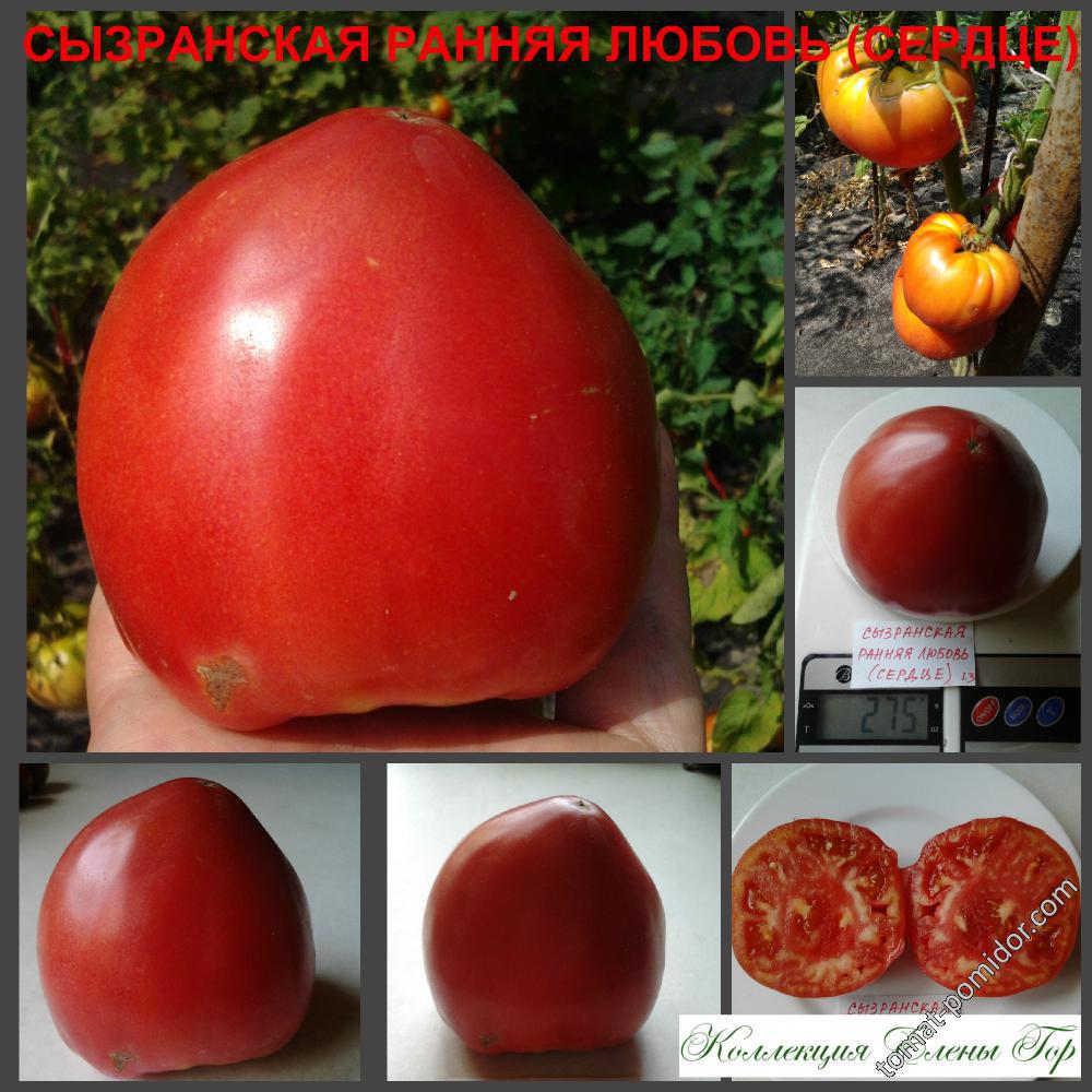 Сызранская ранняя любовь (сердце)
