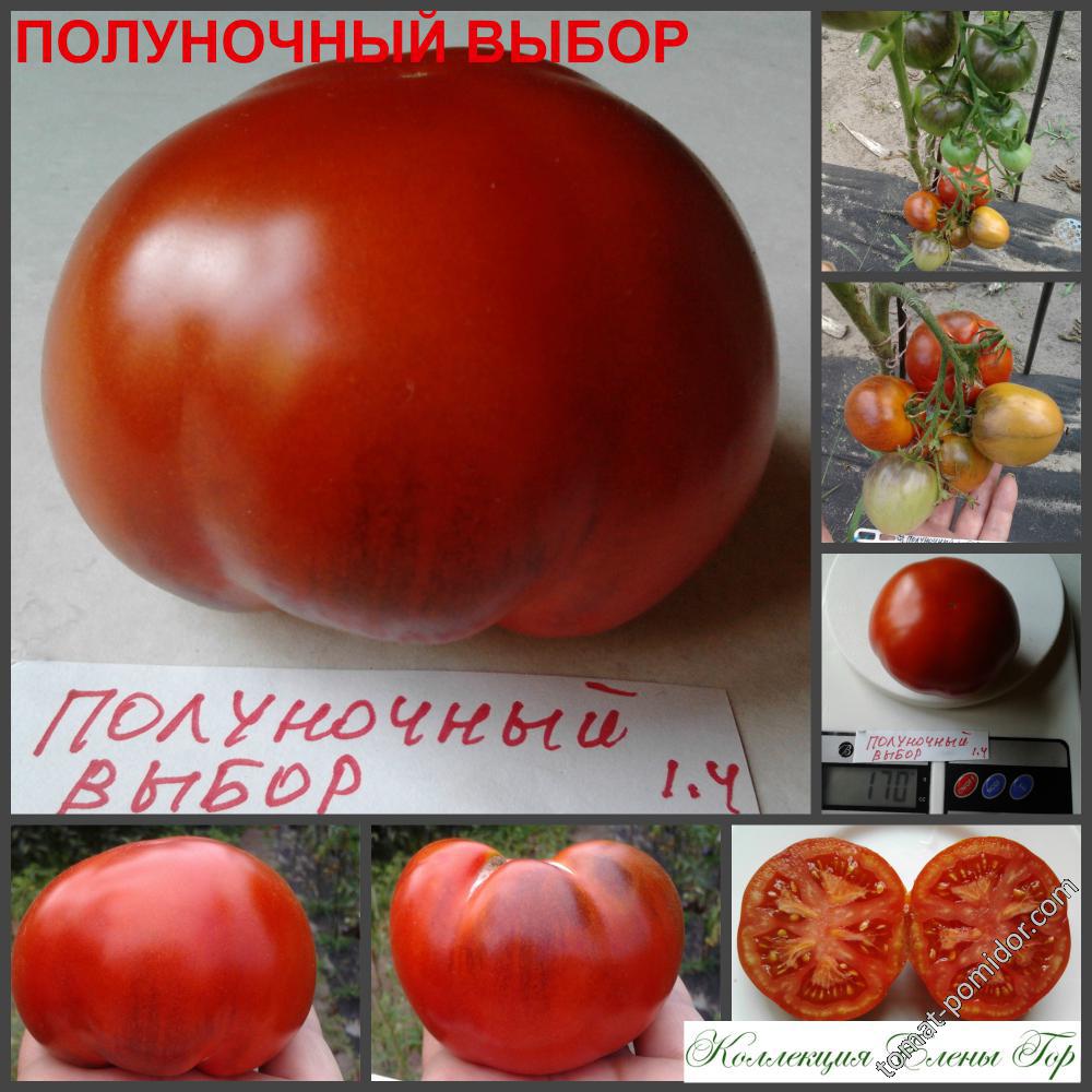 Полуночный выбор