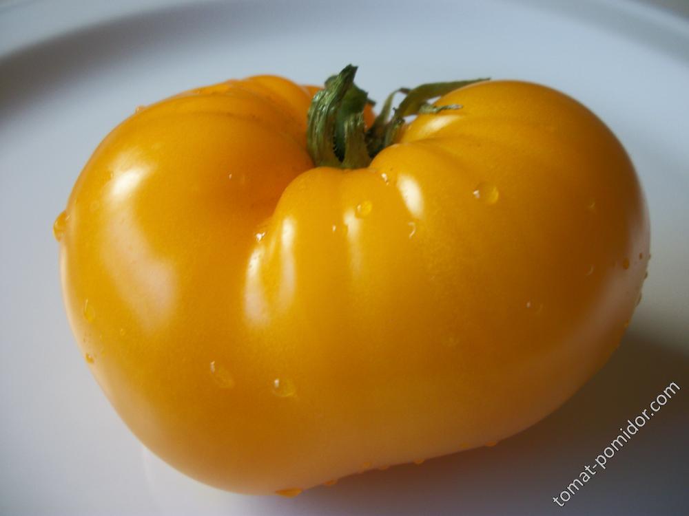 томат Желтый крупный ( от Борисовны )