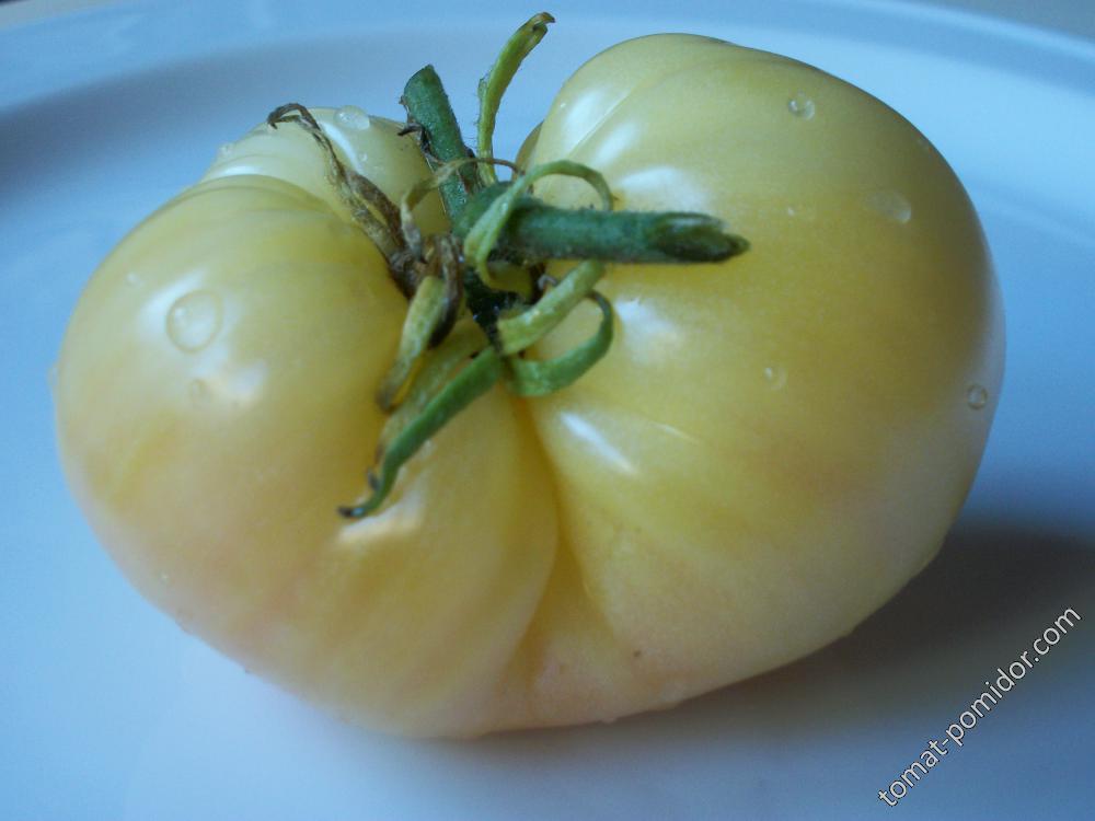 томат Белая вишня