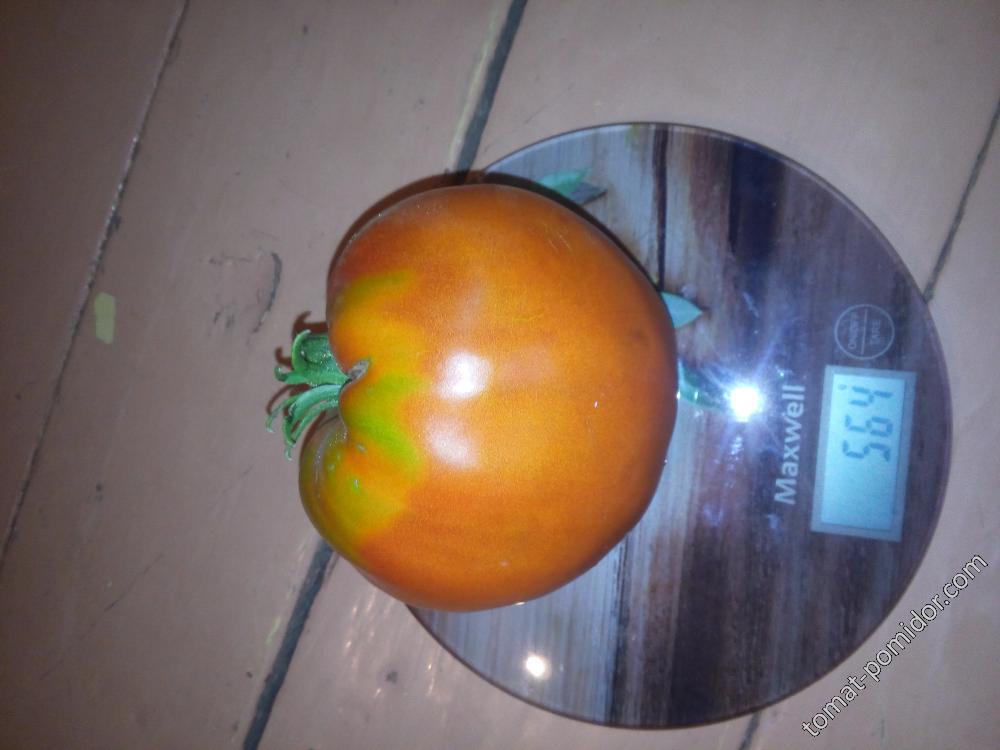 томаты 2016
