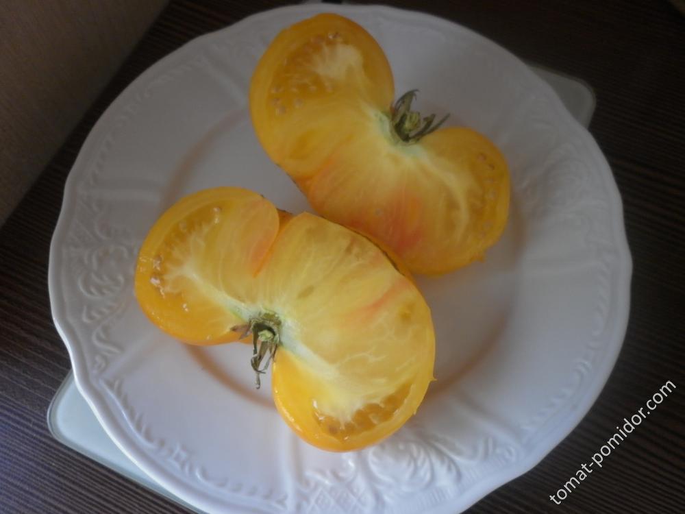 КЖ