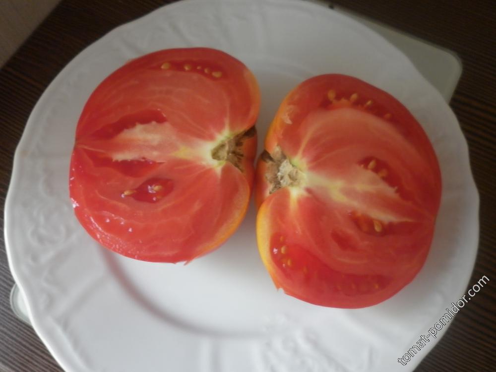 Розовый лидер
